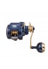 Daiwa 21 Saltiga IC 100 Çıkrık Makara (Sağ El) Daiwa 21 Saltiga IC 100 Çıkrık Makara (Sağ El)