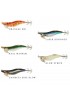 Daiwa Emeraldas Nude 25 Kalamar Zokası