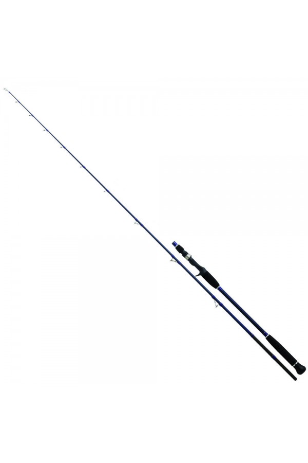 Daiwa Exceler Oceano 198cm MAX250 Olta Kamışı