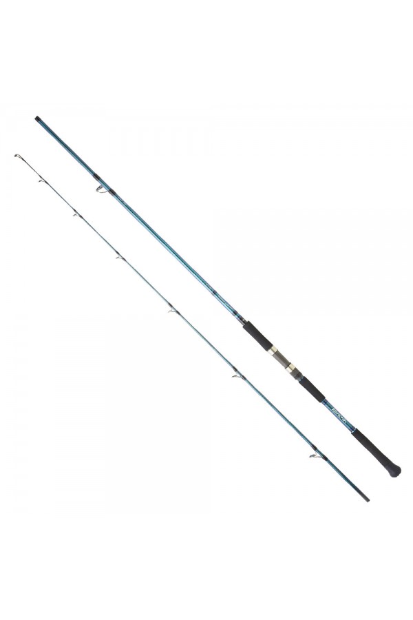 Daiwa Grandwave 2.90M 28-84gr 2P Shore Jig Olta Kamışı