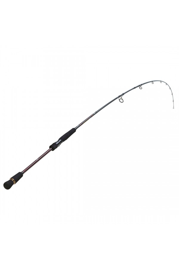 Daiwa Infeet Seabass 2.44m 14-42gr 2P Kamış Daiwa Infeet Seabass 2.44m 14-42gr 2P Kamış