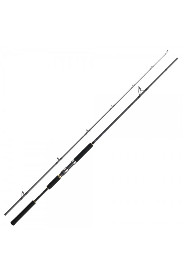 Daiwa Jig Caster MX 96M 290cm Jig Kamışı Daiwa Jig Caster MX 96M 290cm Jig Kamışı