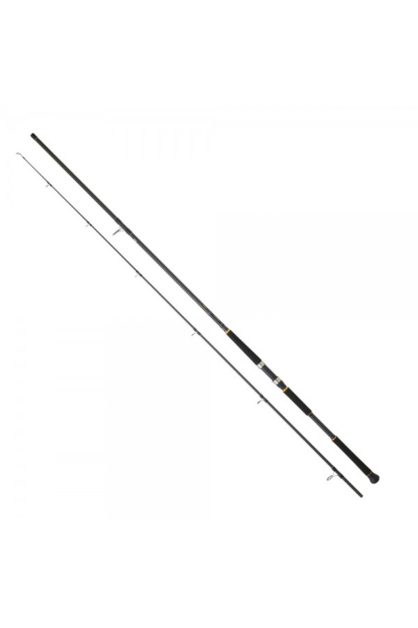 Daiwa New Legalis 2.90m 28-84gr 2P Shore Jig Olta Kamışı