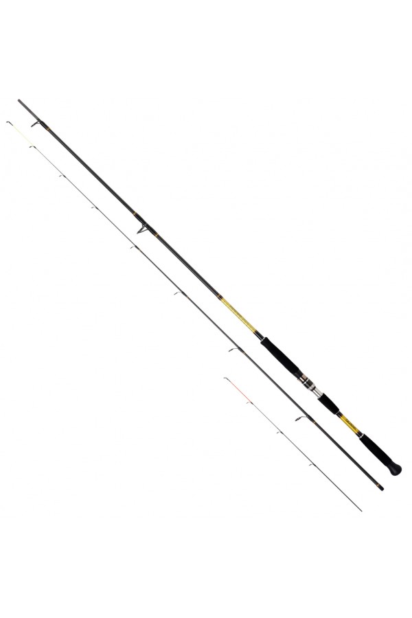 Daiwa Powermesh Light Bot 240cm 15-60 Olta Kamışı Daiwa Powermesh Light Bot 240cm 15-60 Olta Kamışı
