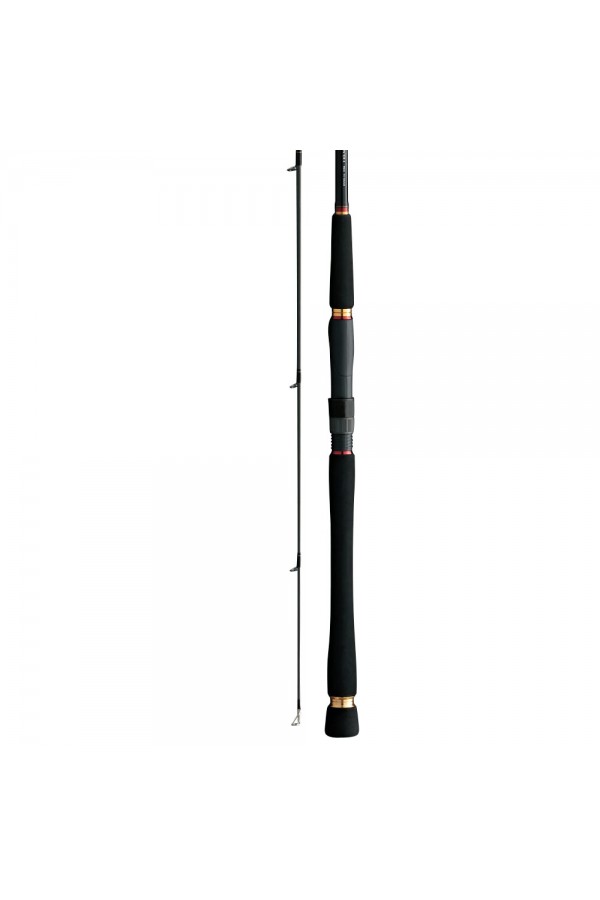 Daiwa Seabass Hunter X 290cm Olta Kamışı Daiwa Seabass Hunter X 290cm Olta Kamışı