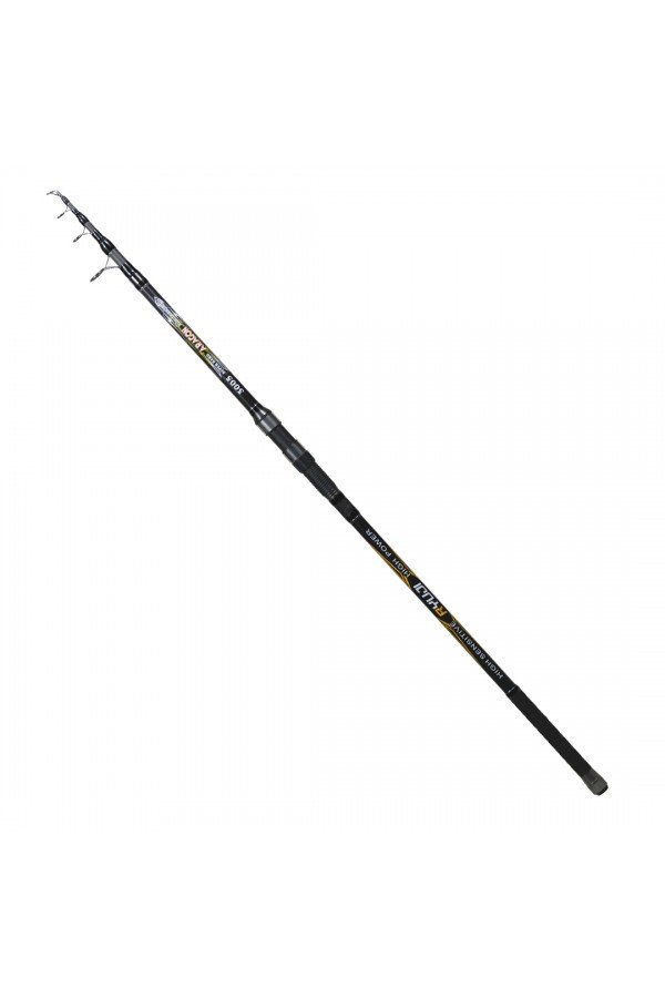 RYUJI ARAGON 3.00M 60-150GR TELE KAMIŞ