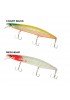 RYUJI FLASH MINNOW 12 5CM 19GR