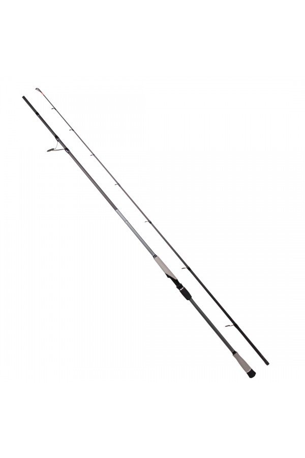 RYUJI MATRIX FUJI 3.00M 30-100 GR  2P SHORE JIG KAMIŞ