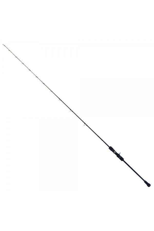 Ryuji Oceanus 1.90m 200gr Slow Jig Olta Kamışı