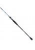 RYUJI SEAHUNTER CA 2.06M 80-300GR 2P JIG KAMIŞ (TETİKLİ)