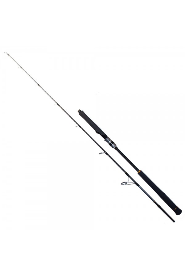 RYUJI SEAWOLF 1.98M 30-150GR 2P JIG KAMIŞ