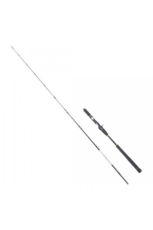 RYUJI SEAWOLF CA 1.98M 150-250GR 2P (BAITCAST) TETİKLİ JIG KAMIŞ
