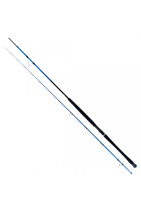 Ryuji Shore Game Fuji 2.85m 25-85gr 2P Shore Jig Kamış Ryuji Shore Game Fuji 2.85m 25-85gr 2P Shore Jig Kamış