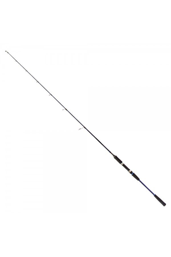 Ryuji Strobe 1.68m 80-170gr 2P Jig Olta Kamışı