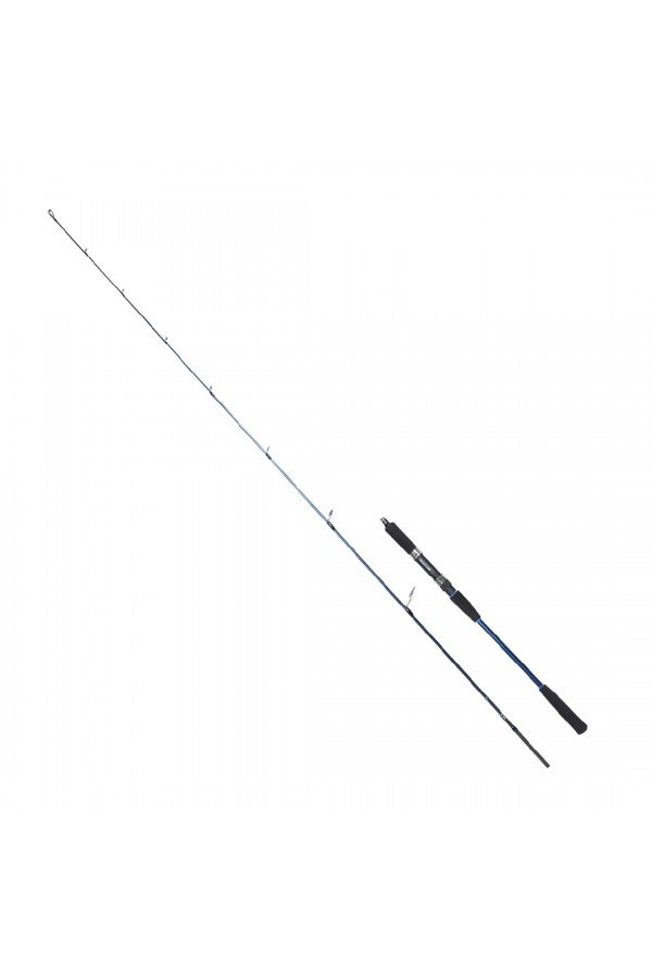 RYUJI STROBE SP 1.98M 20-80GR 2P JIG KAMIŞ